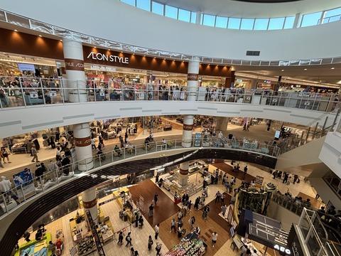ツイッタX「残クレアルファードに乗って子供3人と過ごすイオンと一人っ子のSAPIXへの送迎で週末が終わるタワマン民、どっちが幸福なのか