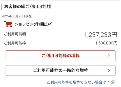【衝撃】ワイの楽天カード、限界突破してしまう