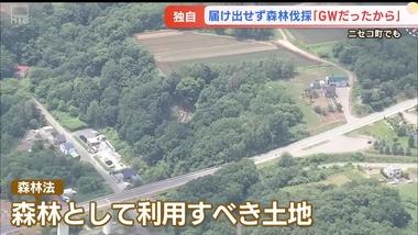 北海道倶知安町で無許可での大規模森林伐採に続いてニセコ町でも中国人代表の企業が無届けで森林伐採