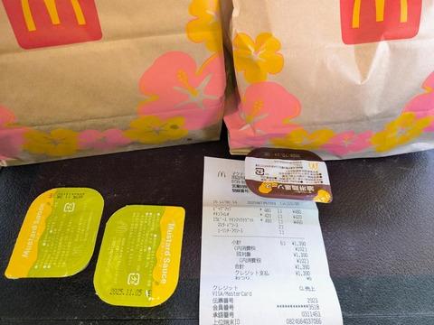 お前らココイチ高いっていうけどさマクドで昼飯買っても結構するぞ
