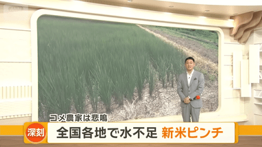 【悲報】全国各地で水不足､コメ農家から悲鳴 ダム貯水量大幅減でプール営業中止も