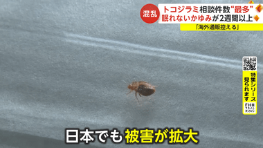 【悲報】ワイ､トコジラミに敗北 自宅にトコジラミが湧き引っ越すことを決意