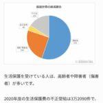 日本の生活保護は　高齢者老人55%　障害者25%　シングルマザー4%で減らす事は無理と判明😢
