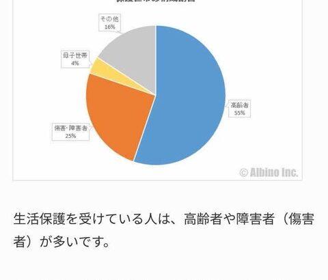 日本の生活保護は　高齢者老人55%　障害者25%　シングルマザー4%で減らす事は無理と判明😢