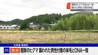 駆除されたヒグマのDNA鑑定､襲われた新聞配達員に付着したクマ体毛と一致 4年前には女性を襲って死亡させる