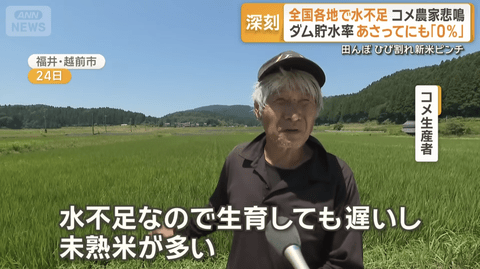 【悲報】農家「水不足で米できません」