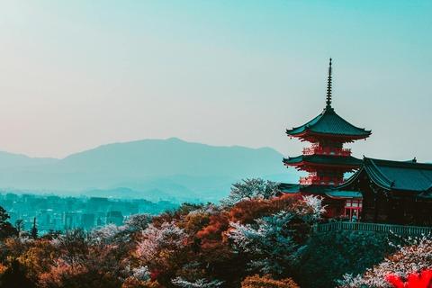 【悲報】京都民ワイ、もう京都はダメだと悟る