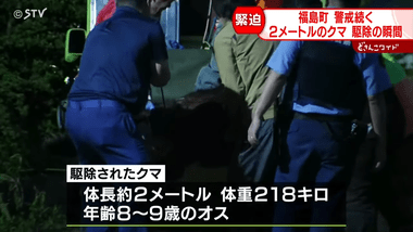 【悲報】射殺されたヒグマ､新聞配達員を襲撃した個体とは別か
