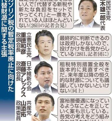 ガソリン税暫定税率廃止の財源論､国民民主だけ距離感違う 玉木氏｢新税や新たな負担をセットでやってくれと一票を入れた人はほとんどいない｣