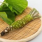 「高級なわさびは辛くない」←逆に安物のわさびはなんで辛いの？