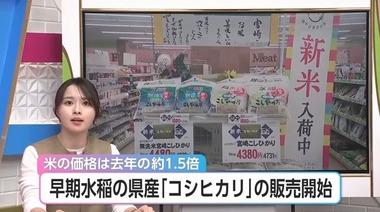 宮崎｢新米の価格は5キロ4731円｣ 高知｢5キロ4000円台｣