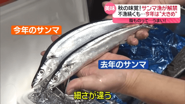 今年のサンマ､大きめで脂ものってうまい！｢こんなに太いのは10年ぶりくらい｣