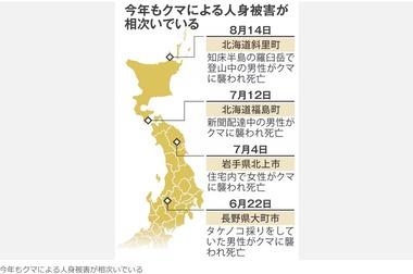 クマを駆除した自治体に抗議や苦情の電話相次ぐ｢クマ殺し｣｢無能集団が｣ 担当者｢非常につらい｣