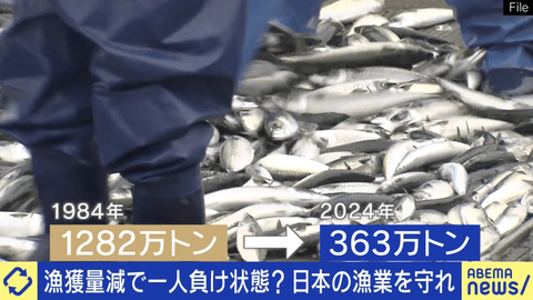 【超絶悲報】日本、あと25年で魚が食べられなくなるかもしれない