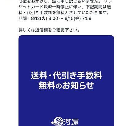 【朗報】駿河屋｢8月15日7時59分まで送料･代引き手数料無料！｣うおおおおお