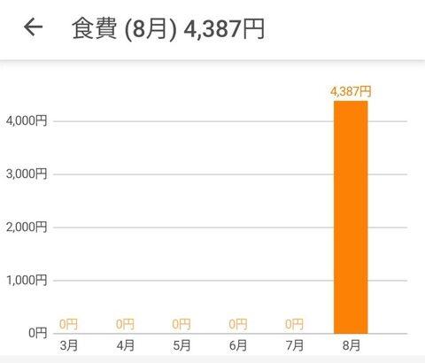 【画像】8月の今日までの食費ｗｗｗ