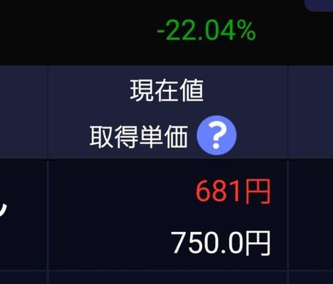 NISA始めた結果…