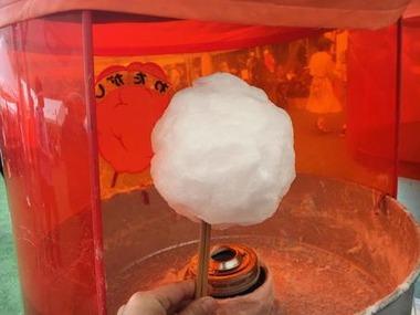 わたあめ製造機を買おうと思ってんけどさ