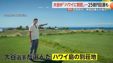 大谷翔平と代理人のネズ･バレロ､｢ハワイ355億円プロジェクト｣で訴えられる 開発業者と不動産ブローカーの2人から