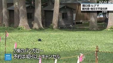 北海道･羅臼岳のヒグマ被害で斜里町のキャンプ場キャンセル相次ぐ　電気柵など対策をとっているので観光客に戻ってほしいとの声
