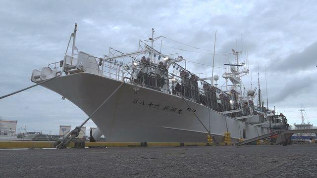 【漁業】日本海でマグロがイカを食べる被害急増