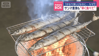 【悲報】サンマのステマがすごい｢奇跡のサンマ｣｢早く食べて｣