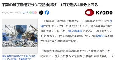 サンマ豊漁､想像以上だった 銚子漁港では1日で過去4年分上回る