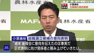 小泉進次郎農水大臣､総裁選出馬を表明 加藤財務相が小泉陣営の選対本部長に就任 保守層の取り込みを意識か