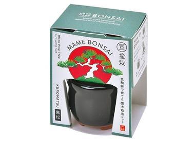 ミニ盆栽キット買ったんやが発芽適温の15-20℃キープて不可能じゃないか