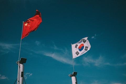 普通に移民を受け入れるなら韓国中国から入れたほうがよくないか？