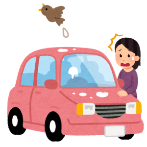車に乗せておいて便利なものってなんかある？