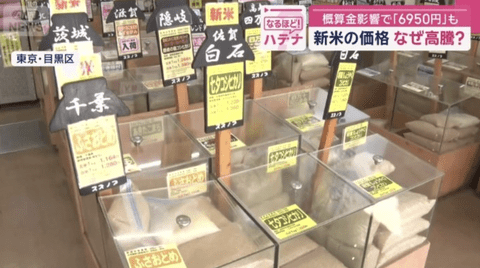【悲報】新米、5キロ7000円へ。終わりだよこの国