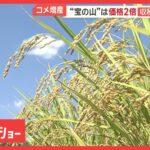 【コメ】コメ増産　収穫量過去最大　なぜ価格は高止まり