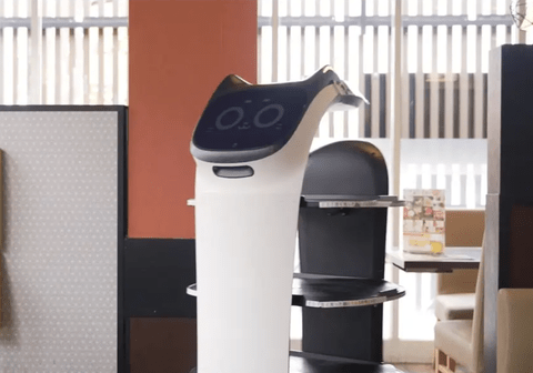 【悲報】飲食店「タッチパネルで注文してロボットが運んできてお会計もセルフレジ」←これ