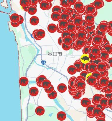 秋田市と札幌市､クマさんに包囲されて陥落寸前
