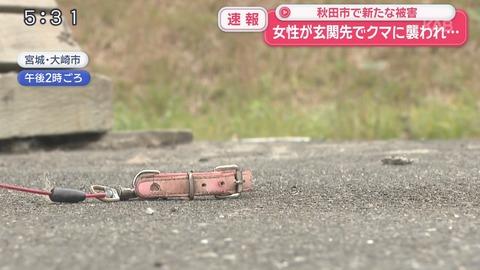 【悲報】クマが出る地域なのに犬をリードに繋いだまま外飼してる阿呆がいるらしい。義務教育の敗北だろこれ