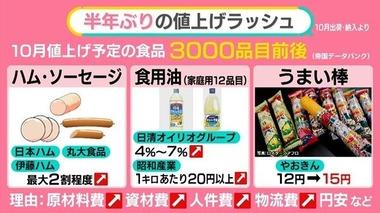 「なんでもかんでも価格が上がる」食料品、 有識者「価格引き上げは続く可能性がある」