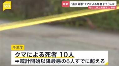【悲報】クマに10人殺される 過去最悪の死者数