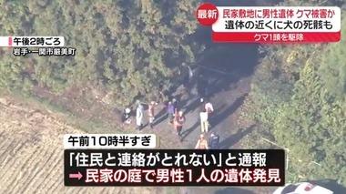【悲報】クマ被害止まらない 岩手県一関市で67歳男性と犬の遺体見つかる 秋田でも女性の遺体
