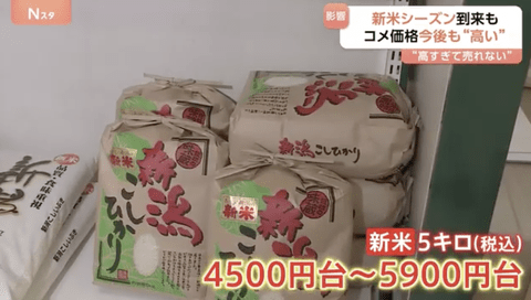 【悲報】米、高すぎてガチで誰も買わなくなる…これ誰が悪いの？