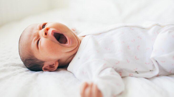 IQ85以上、前科無し…デンマークの精子バンクが始めた特殊な選別に波紋「品質を保証できないものの販売は倫理的ではない」