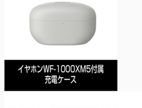 【悲報】ワイ「イヤホンの充電ケース無くしちゃったし買うか！w(1000円くらいやろなぁ…w」←結果