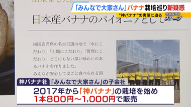 みんなで大家さん子会社｢神バナナ｣の栽培施設があるとされる九州3か所ではバナナ栽培されず ｢みんなで大家さん 奄美バナナ｣の施設も荒れ放題