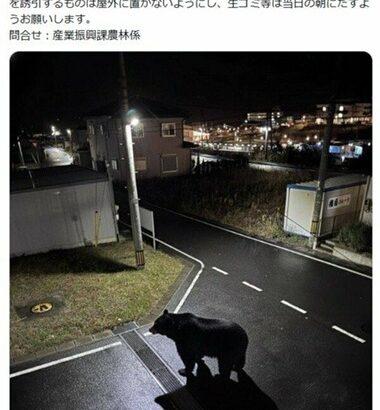 宮城･女川町が公式Xに注意喚起と一緒に投稿したクマ画像は｢生成AIフェイク｣ 目撃情報も虚偽と判明 作成者本人から申し出