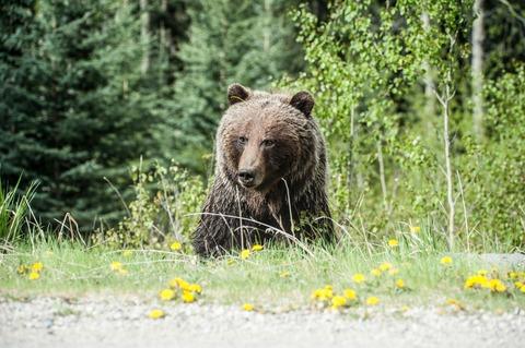 【速報】クマさん、今日はイオンにおでかけ