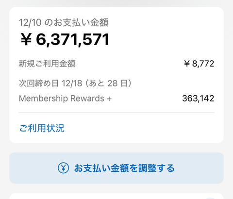 【画像】ワイ富豪の今月のカード請求額wwwwwww