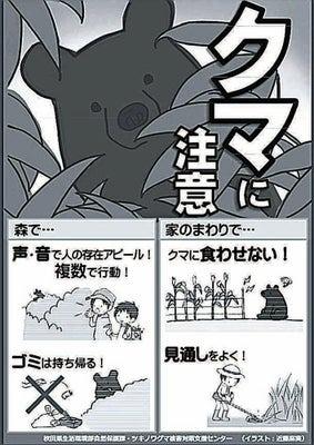 イオン能代店に侵入して居座ったクマ､駆除される