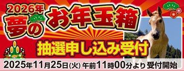 ヨドバシカメラ､福袋｢2026年 夢のお年玉箱｣の抽選申し込み受付を11月25日11時から開始
