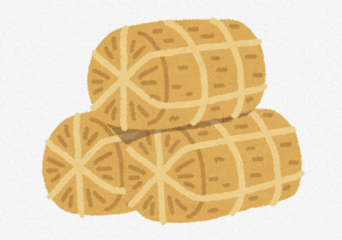 【悲報】ワイの嫁、米90キロ買ってしまう