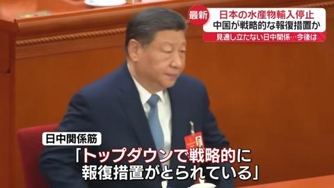 【悲報】習近平、ガチで怒ってる模様。どうすんのこれ…